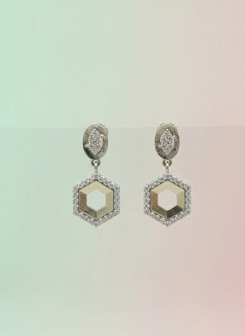 Hexagonal earrings on a gradient background