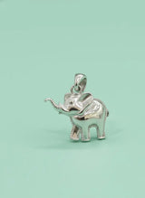 Silver elephant pendant on a light green background