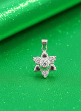 Silver star-shaped pendant on a green background