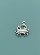 Silver crab charm on a teal background