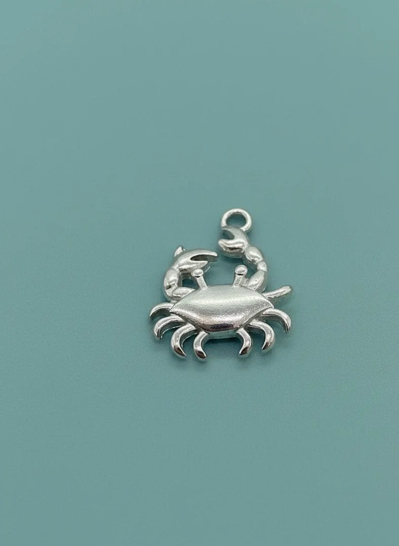 Silver crab charm on a teal background