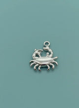 Silver crab charm on a teal background