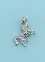Silver horse pendant on a light blue background