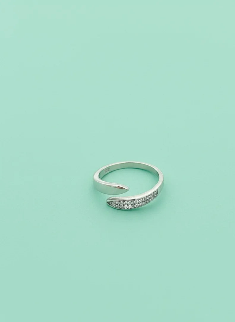 Silver ring with small stones on a light green background