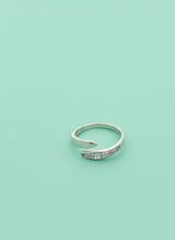 Silver ring with small stones on a light green background