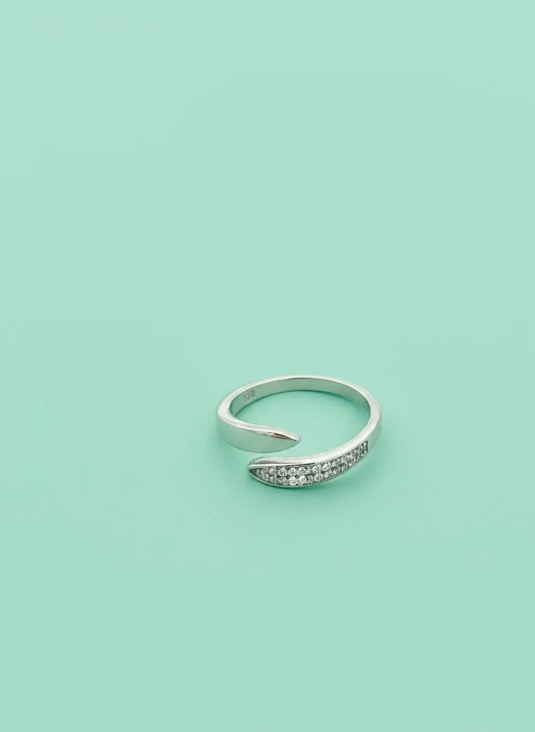 Silver ring with small stones on a light green background