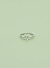 Silver ring on a light green background