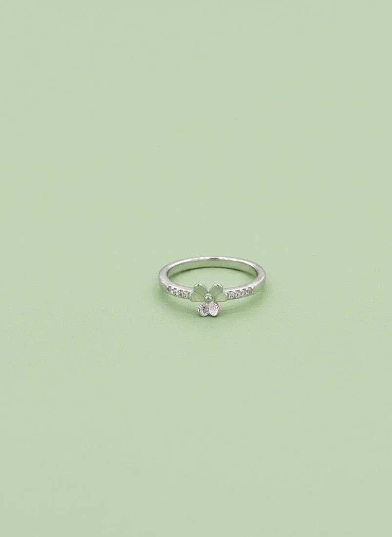Silver ring on a light green background