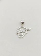 Silver pendant with a design on a white background