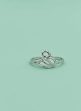 Silver ring on a light green background