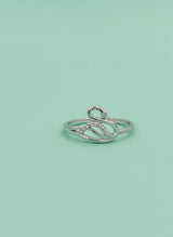 Silver ring on a light green background